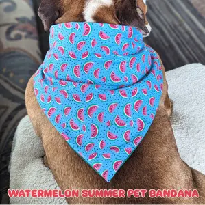 Watermelon Summer Pet Bandana