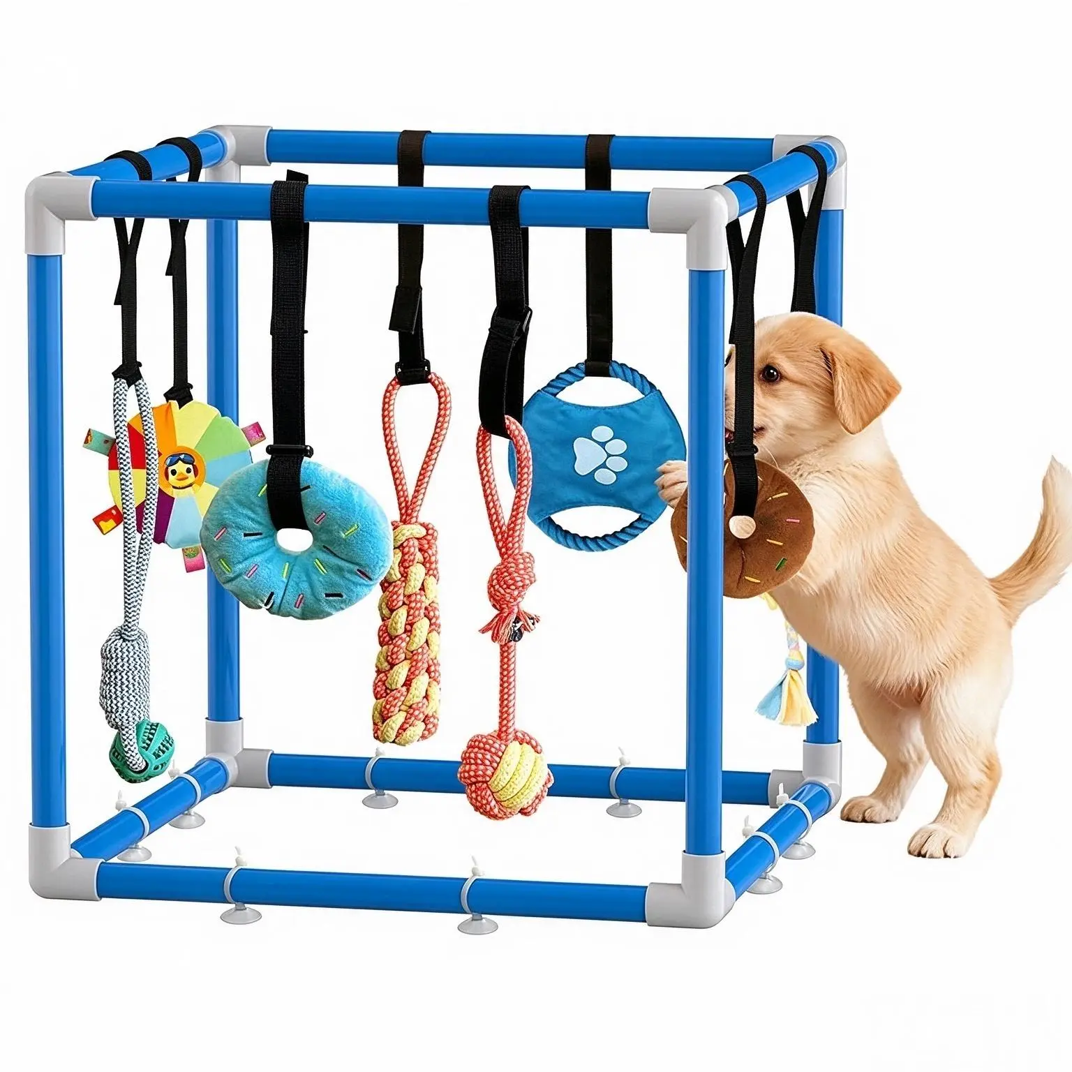 Indoor Wear-Resistant PVC Frame Puppy Play Gym with 8 Toy Play, Hanging Stretchy Velcro Rope Hanging Toys, Teething Aid, Boredom Relief for Small Breeds, Blue Festive Party Gift for Indoor Fun (PVC Frame Resists Daily Puppy Wear)