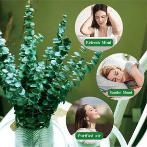 20 Pcs Preserved Dried Eucalyptus Stems, 17" Natural Fresh Eucalyptus Branches for Shower, Real Plant for Vase Filler, Dried Flowers Arrangement, Floral Home Decor Decorative Fruit