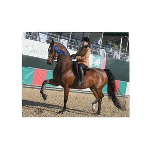 Custom Personalized Placemats – Add Your Photos, Text, or Logo | Set of 4 | Unique Table Decor & Gifts for Home, Pets, & Businesses