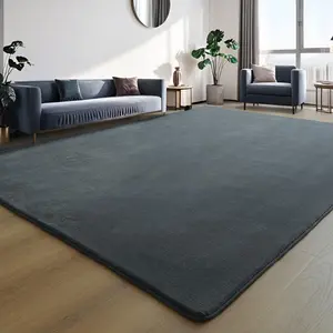 Soft Low Pile Area Rug, Solid Color Machine Washable Non-Slip Rug for Living Room Bedroom Dorm, Fluffy Easy Clean Modern Decor-S