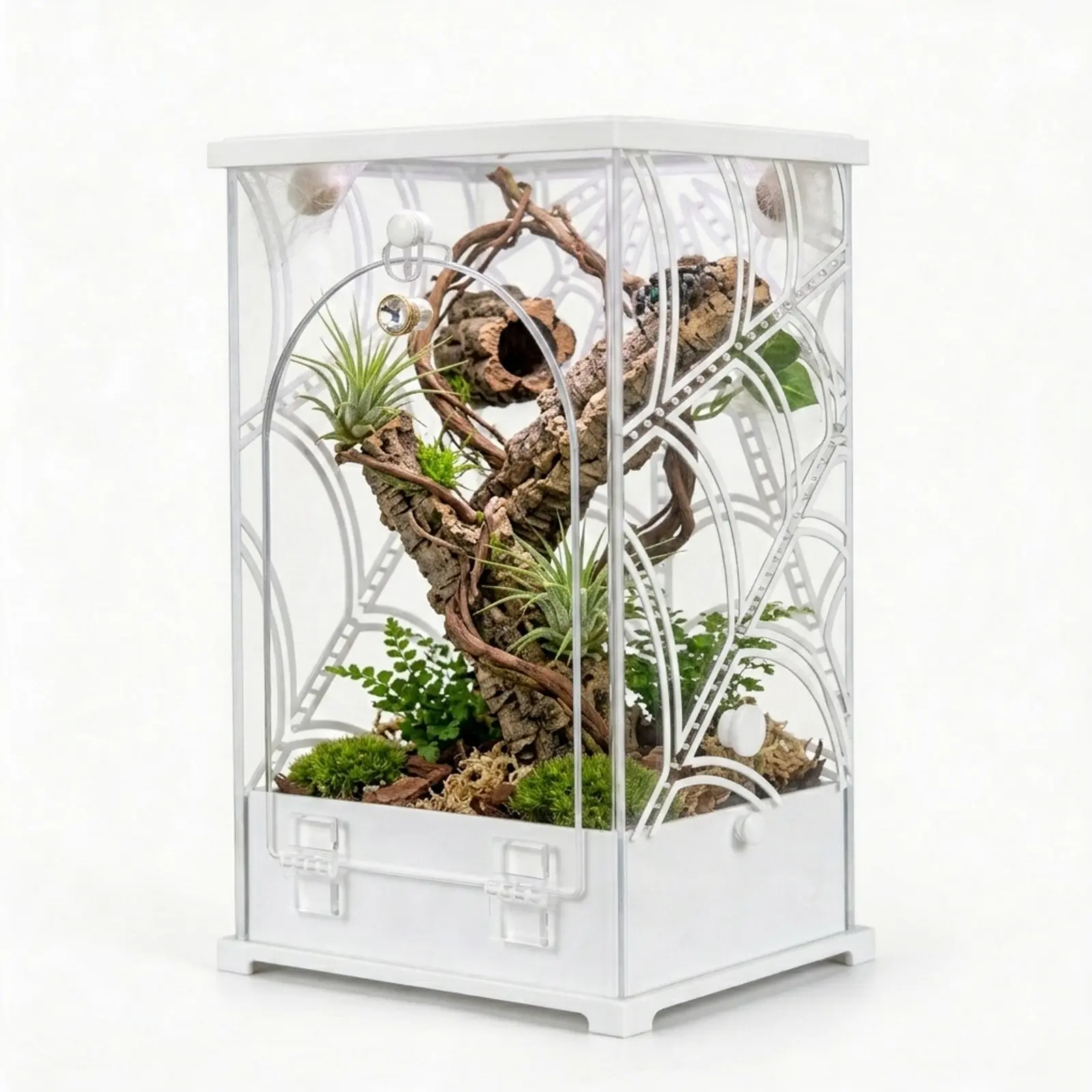 MonsterBox Spider Enclosure, 4.5x4x8 Web Design Acrylic Jumping Spider Habitat
