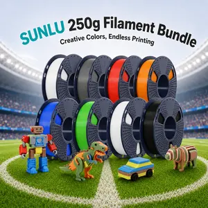 SUNLU 250g Filament (1.75mm) Multicolor Bundle Neatly Wound Vacuum Packed 3D Printer Filament for Fathersdaygift