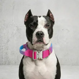 Colorful Gradient Tactical Dog Collar Heavy Duty No Pull K9 Training Gear Quick Release Metal Buckle Control Handle Thick Adjustable Collar for Medium Large Dogs Pitbull Bulldog
