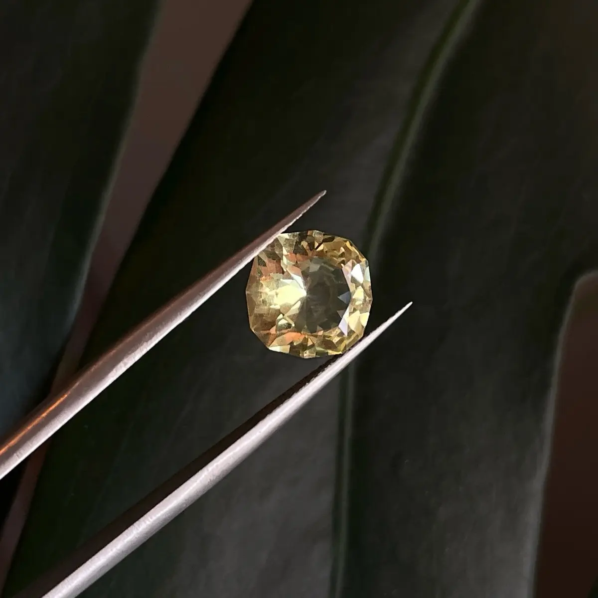 Yellow Apatite Square Cushion Cut Loose Gemstone for Fine Jewelry, 3.15ct, 9.5mm