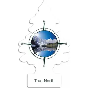 Little Trees Car Scents Air Fresheners - True North Scent (Pack of 12), Silky, Fragrant