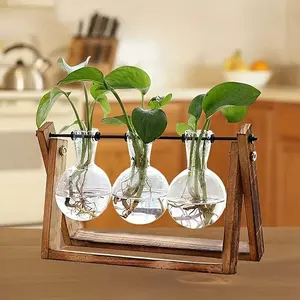 Creative Metal Rotating Stand Glass Container Hydroponic Planters for Hydroponic Plants, Vintage Style, Home Garden or Office Desktop Decoration