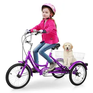 Mooncool 16 inch Tricycle Trike Bike Perfect for Youth,Beginner Riders, Single Speed 3 Wheel Bikes, Three-Wheeled Bicycles with Adjustable Height and Rear Basket