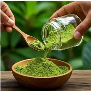 Organic Soursop Leaf Powder – net wet. 100g (3.53oz) Natural Immune Boost & Wellness Superfood