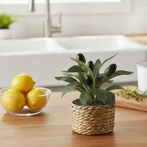 5.9 Inch Artificial Olive Tree, Mini Potted Bonsai with 4 Fruits, Realistic Greenery in Handwoven Basket, Aesthetic Indoor Decor, Small Desk Plant for Home Office Tabletop Shelf