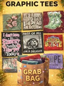 Graphic Tee Grab Bag- You Pick The Theme And I Pick Color & Print Unisex Graphic Tee for All Seasons Top Funny Shirt Tshirt Womenswear