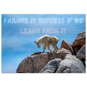 Failure is Success Aluminum Wall Art Decor Poster