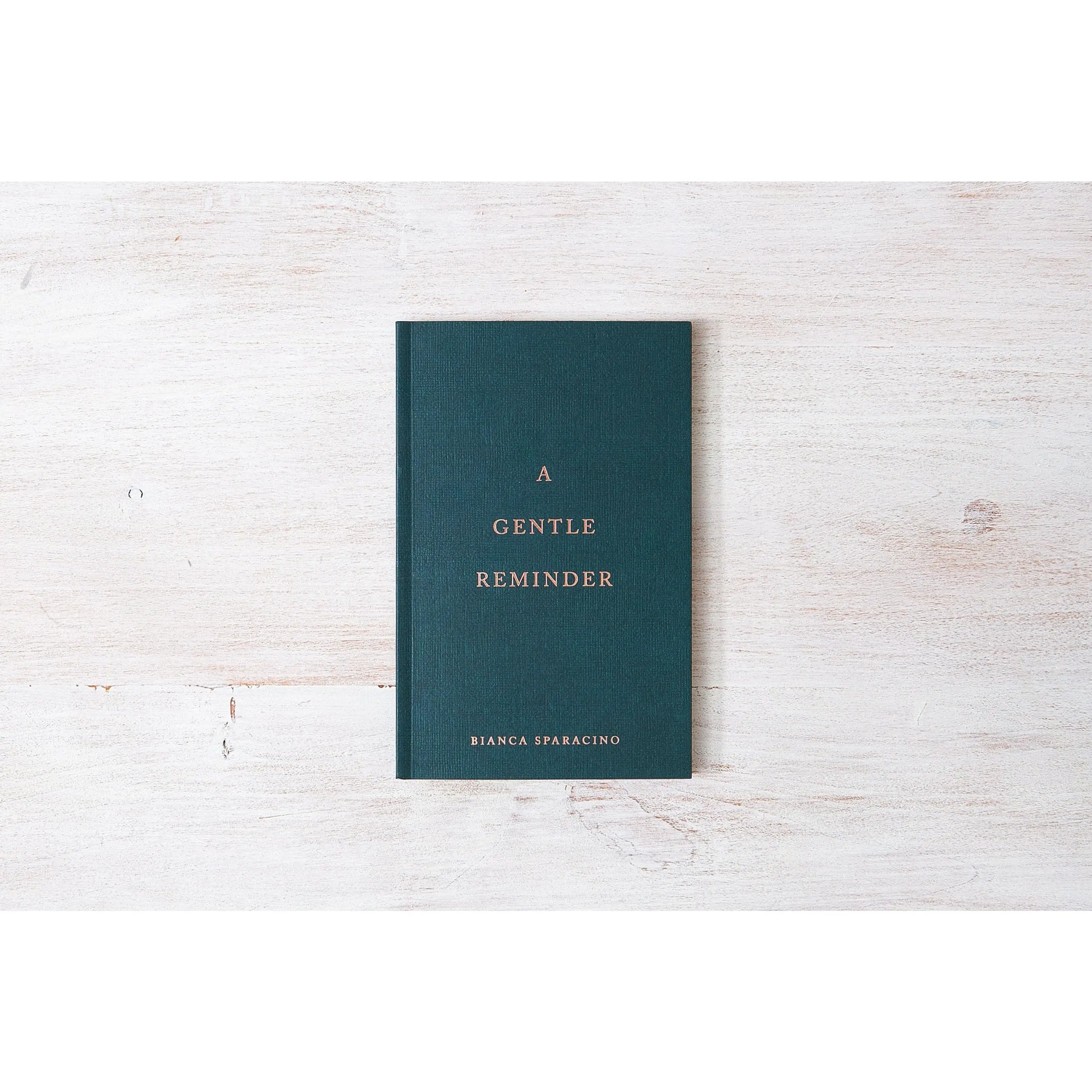 A Gentle Reminder by Bianca Sparacino (@Rainbowsalt)