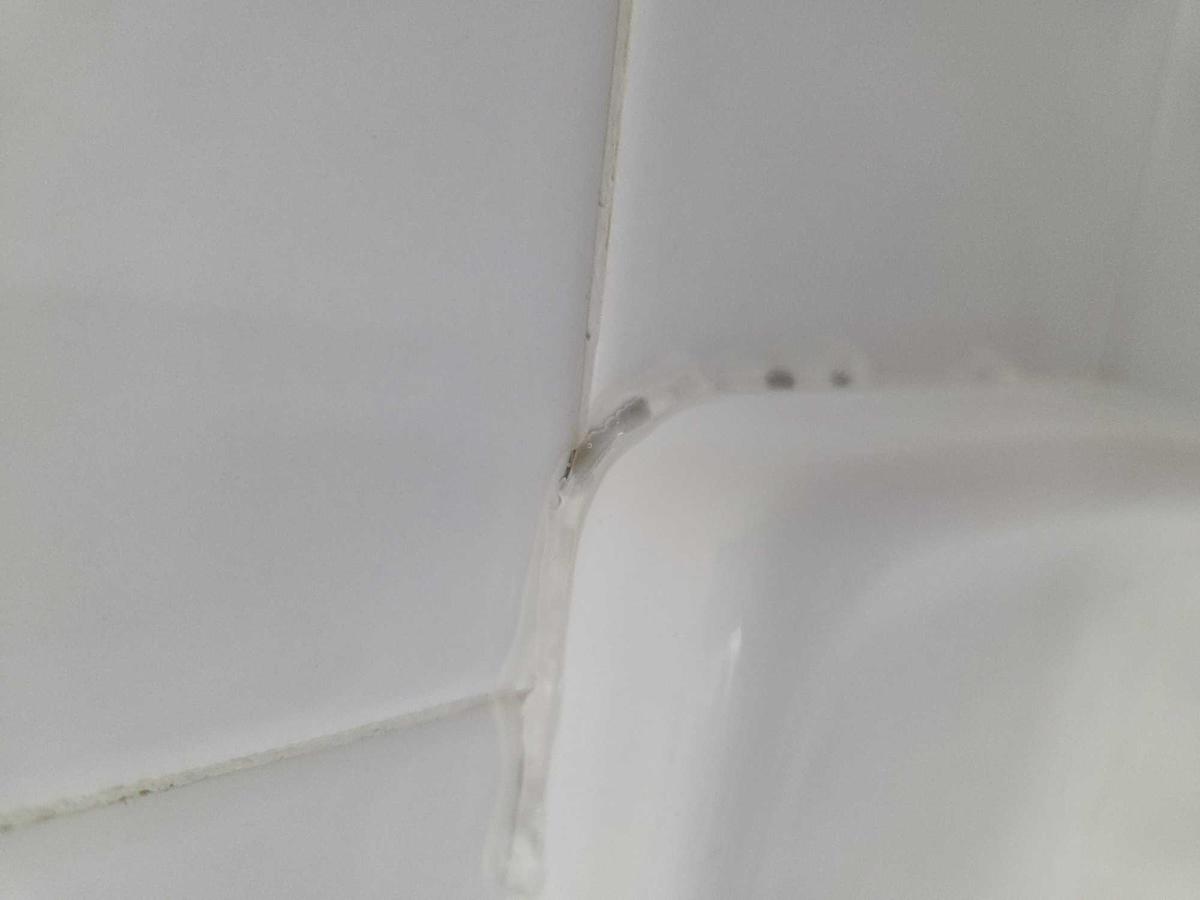 Item: Mold Remover Gel 210g with Scrub Brush