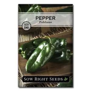 Poblano Pepper Seeds