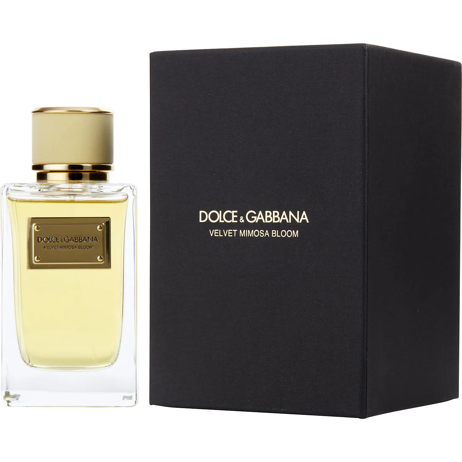Dolce & Gabbana Velvet Mimosa Bloom By Dolce & Gabbana Eau De Parfum For Women