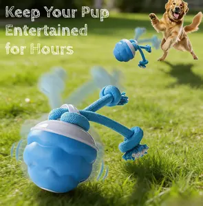 Motion-Activated Interactive Dog Toy - Squeaky Dog Toy Active Rolling Ball, Ball for Daily Training,Used for Small Dogs and Cats , Pet Accessories, Cute Pet Toys(2.95*2.95*4.33inch)
