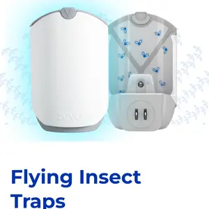 Zevo Flying Insect Trap for Indoors - Light Trap for Fruit Flies, Gnats & Houseflies - Starter Kit (1 Plug-in Base + 1 Cartridge)