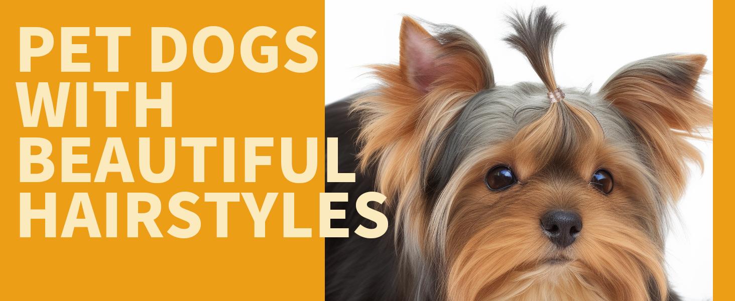 Clear Elastic Hair Bands, 2000pcs Mini Hair Rubber Bands, Hair Ties, Soft Hair Elastics Ties, 2mm in Width and 30mm in Length