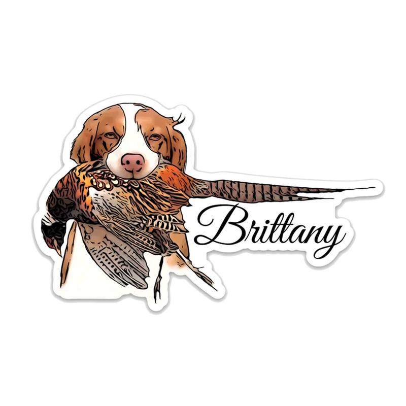 Brittany Upland Bird Dog Sticker | Pheasant Hunting Decal