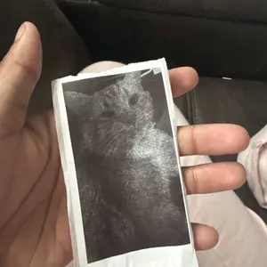 review image 10