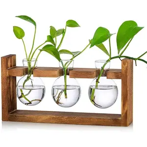 Plant Propagation Station - Glass Terrarium Vases with Retro Wooden Stand, Hydroponic Planter for Home Office Desk Decor (3 Bulb Vase)