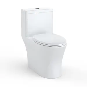 Elongated One Piece Toilet with Comfort Chair Seat ADA Height 17.5 in, Powerful Dual Flush 0.8/1.28 GPF Compact Toilet,12 in Rough-In