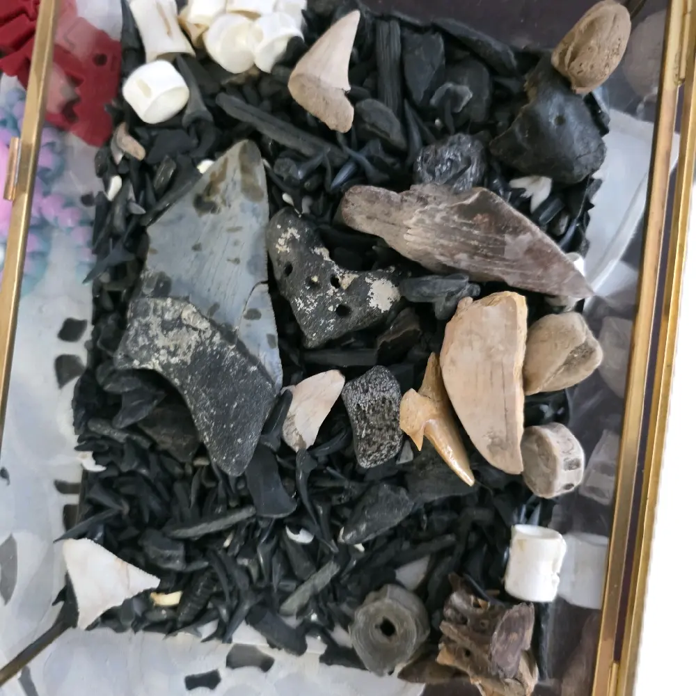 Memorial Shark Tooth Keepsake – In Memory of My Mom