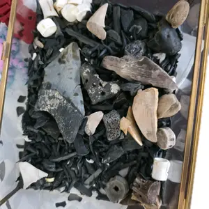 Memorial Shark Tooth Keepsake – In Memory of My Mom