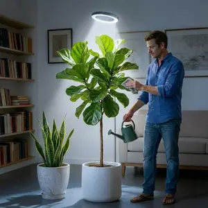 Plant Lights For Indoor Growing, Full Spectrum LED Grow Light with 3/9/12H Timer, 3 Color Modes & 10 Dimmable Levels, Height Adjustable 10-59 Inches Desktop Plant Light for Home, Office, Bedroom, kitchen, Let Plants Grow Vigorously