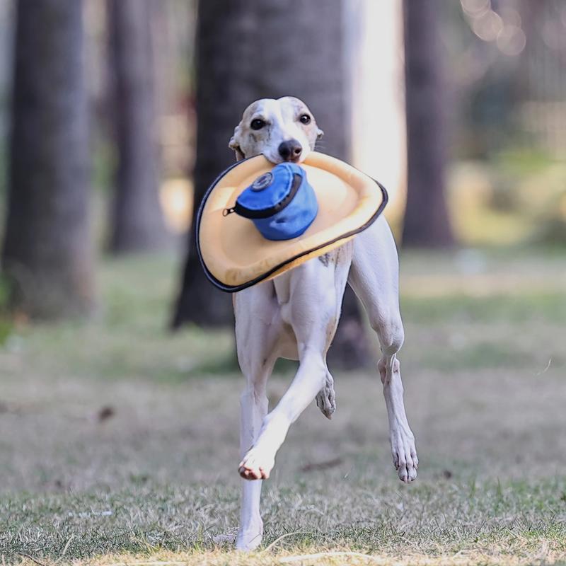 Dog Frisbee Toy With Built-In Treat Pouch, Interactive Fetch Toy, Suitable For Outdoor Exercise And Agility Training, Pet Reward Toy, Ideal For Small, Medium, And large Dogs To Catch And Fetch.