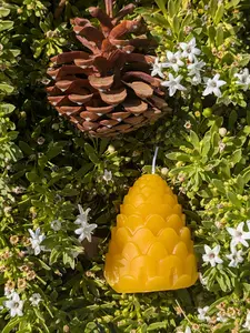 Pure Beeswax Pine Cone -  Candle Decor Ornaments Decoration Gift Pine Cone Self Care