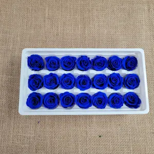 Preserved Roses - Blue - For Prom, Christmas, Wedding - Dried Roses For Bouquet - Eternity Roses - Forever Roses - 21 Pack,