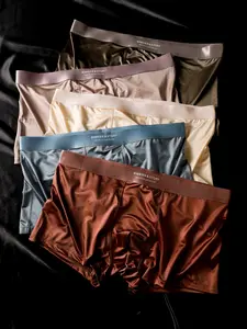 5 Biweier Satin Boxers in Morandi Colors, Breathable Men's Shorts for Home & Vacation, Cool Comfort Lightweight Luxury Fabric, Stretchy Boxer Briefs, Elastic Boxer Briefs