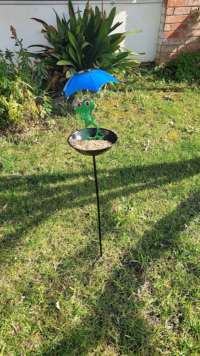 Item: 1-piece pack, Frog