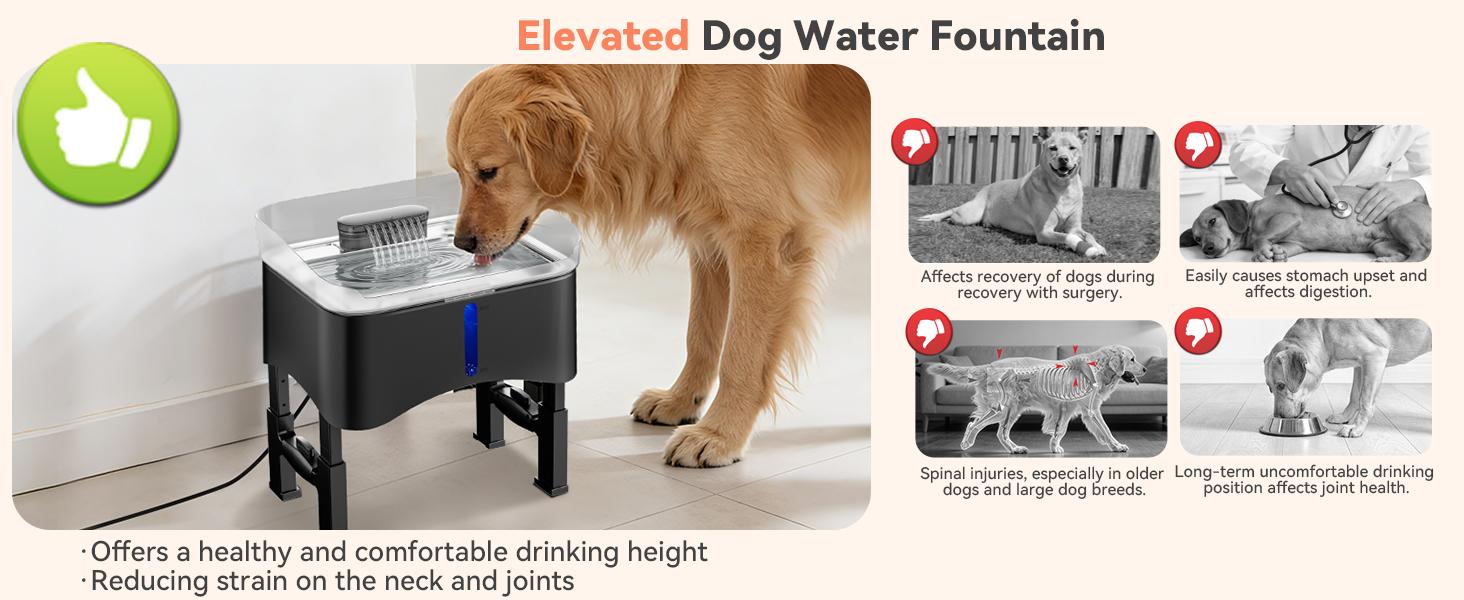 UPSKY 11L Elevated No-Spill Dog Water Fountain, 4 Heights Adjustable, 304 Stainless Steel Tray with Anti-Clog Pump & 4 Filters for Senior Dogs, All Dog Sizes & Multi-Pet Home,Black UPSKY 11L Elevated No-Spill Dog Water Fountain, 4 Heights Adjustable, 304 Stainless Steel Tray with Anti-Clog Pump & 4 Filters for Senior Dogs, All Dog Sizes & Multi-Pet Home,Black
