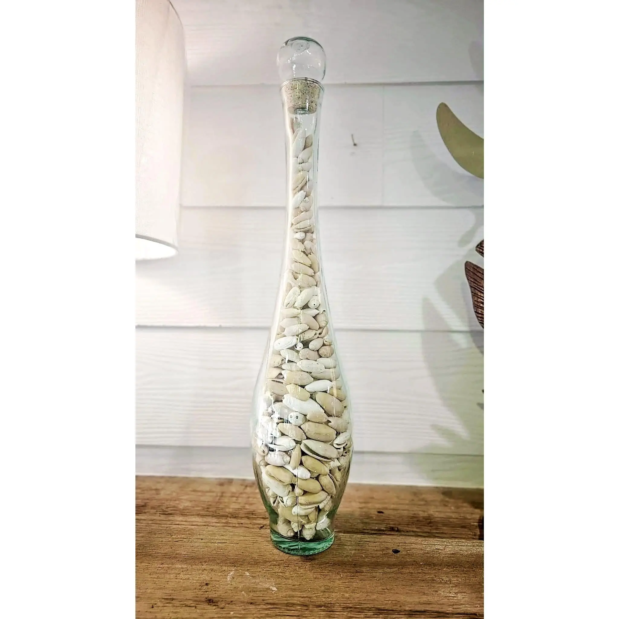 Glass Vase Jar Filled with Olive Shells – Coastal Decorative Accent 22"