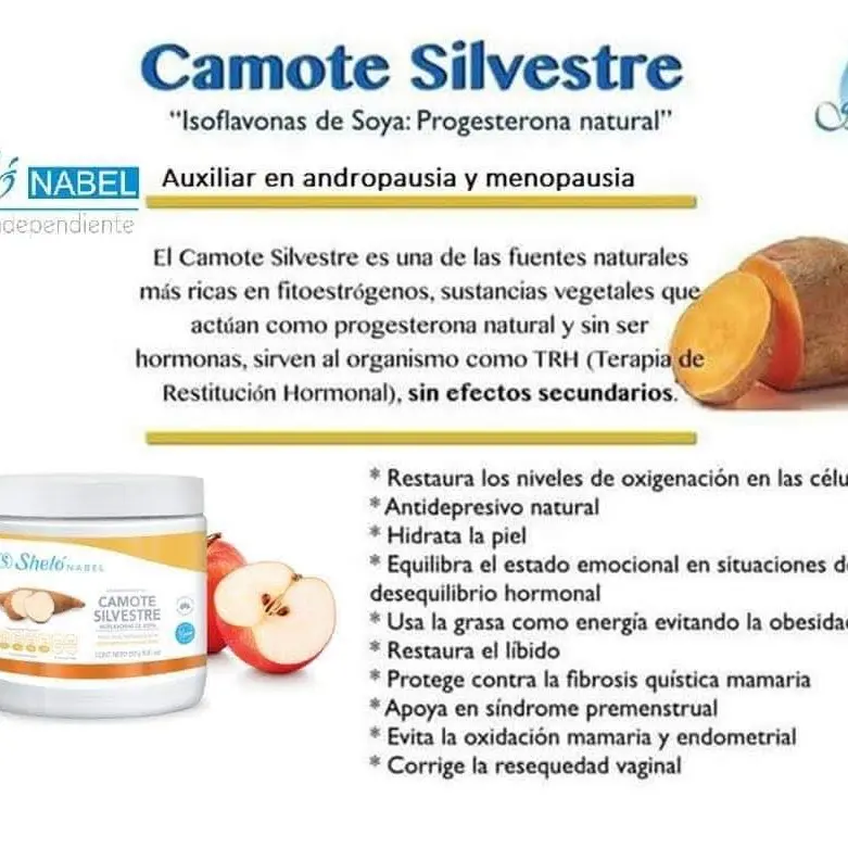 l carnitina shelo nabel User's Guide to Carnitine and Acetyl-L-Carnitine by Vera Tweed, Hardcover,  9781681628431