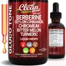 Clean Nutra Berberine, Ceylon Cinnamon, Chromium, Bitter Melon, Turmeric, Glucomannan, Gymnema & More for Natural Wellness Liquid Drop – Gluco Tone