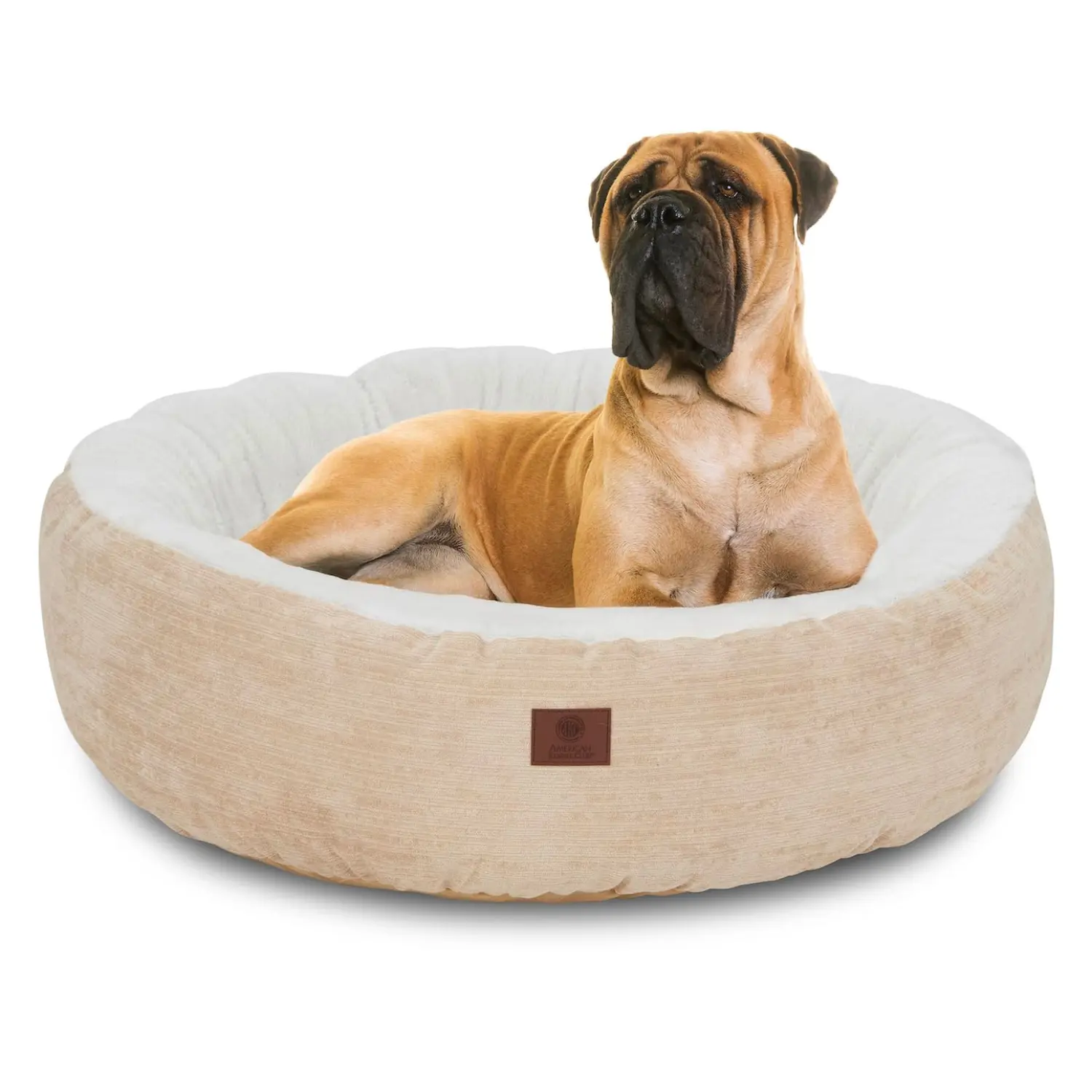 Plush Playtime Comfort Set (Mason Fabric Round Plush Pet Bed + Squeaky Stick Dog Toy )