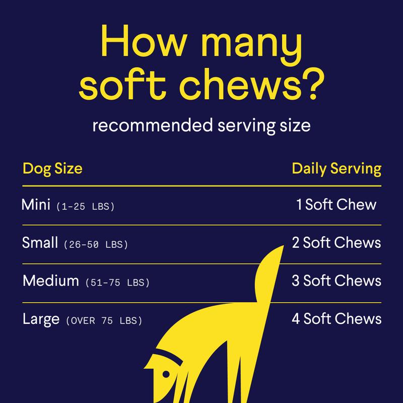 FINN Allergy & Itch for Dogs - Natural Allergy Relief, Itchy Skin, Immune Support, Bee Propolis, Probiotics - 90 Soft Chews