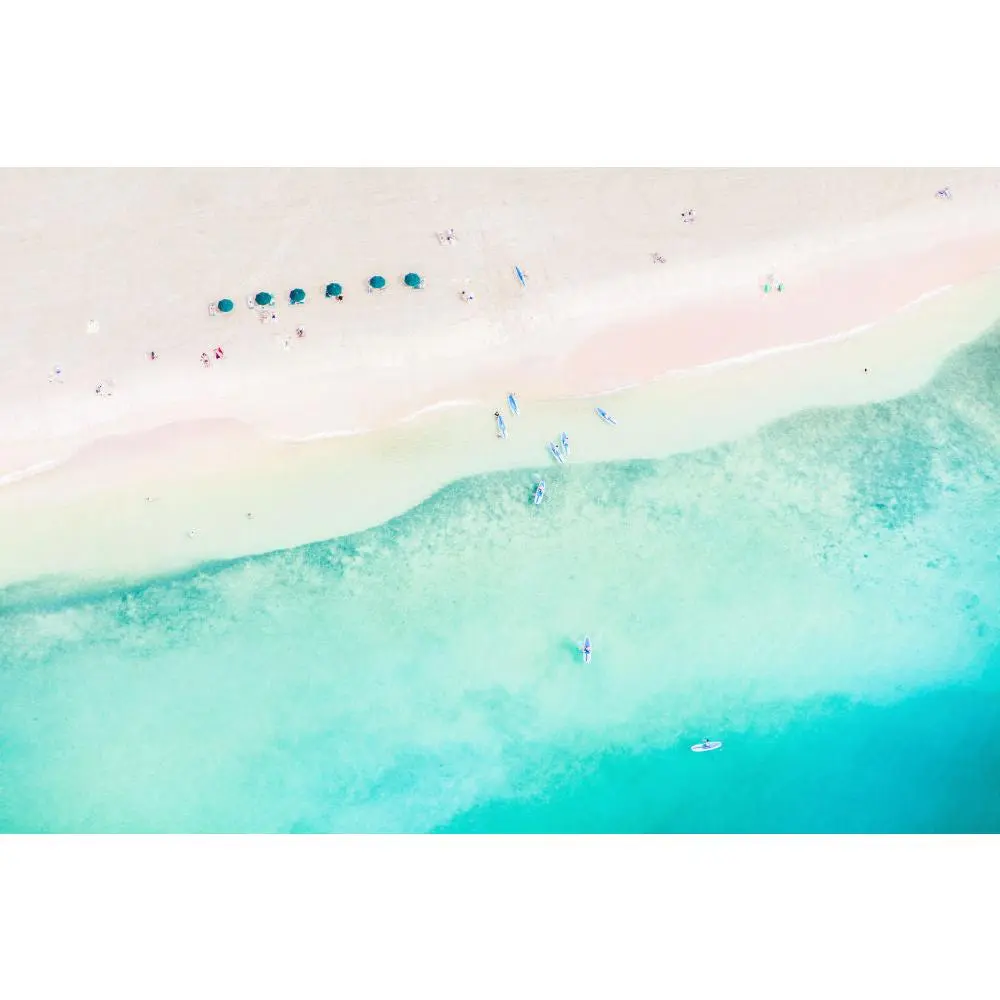 Waikiki Paddle Boarders
