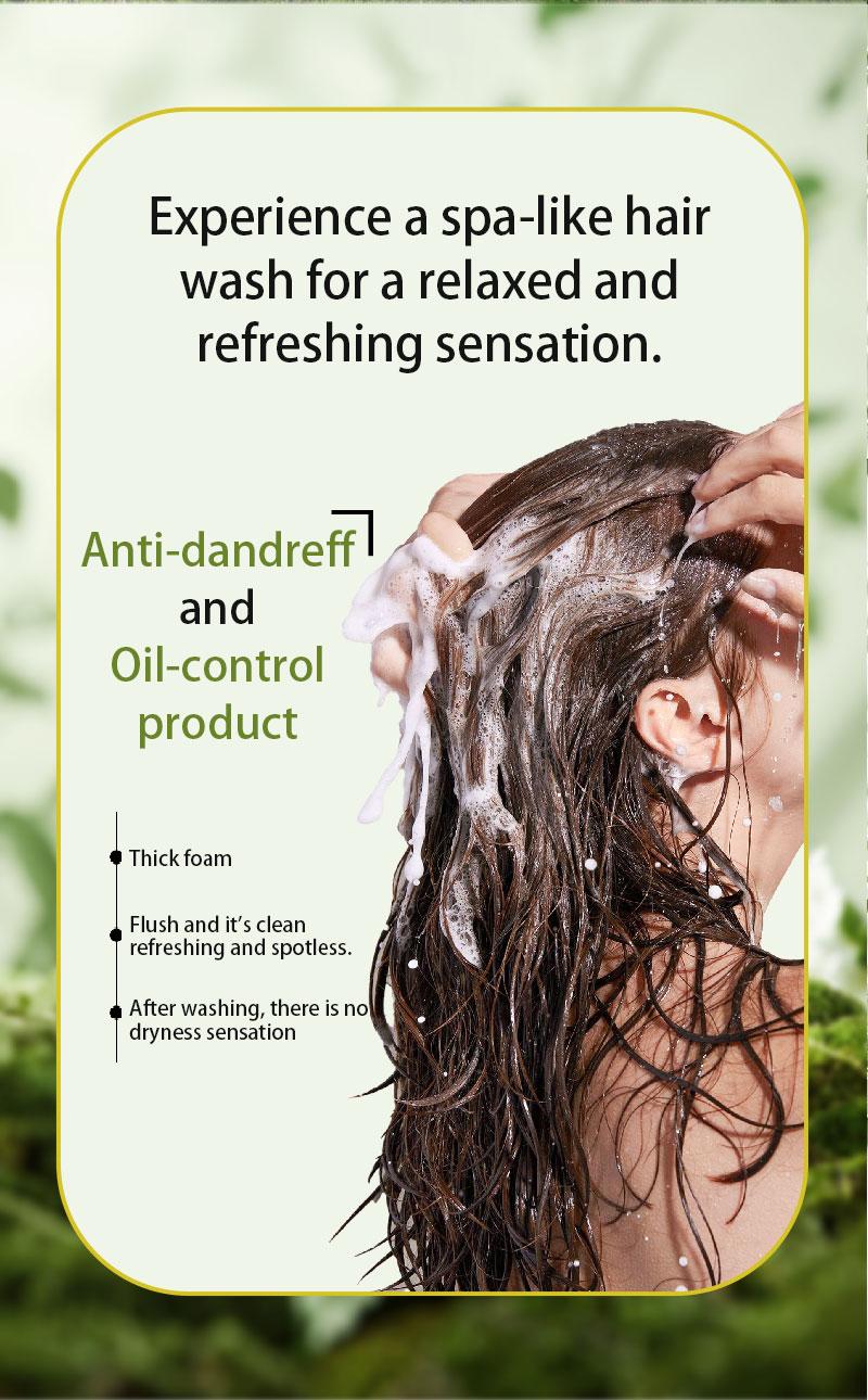 [TikTokShopBlackFriday] Buy 2 Get 1 Free!  Tgideas Rosemary Shampoo + hair serum - BoostHair Growth, Control Oil & Dandruff,Soothe Scalp lritation & RestoreShine! Outdoorfun Hydrolyzed Keratin