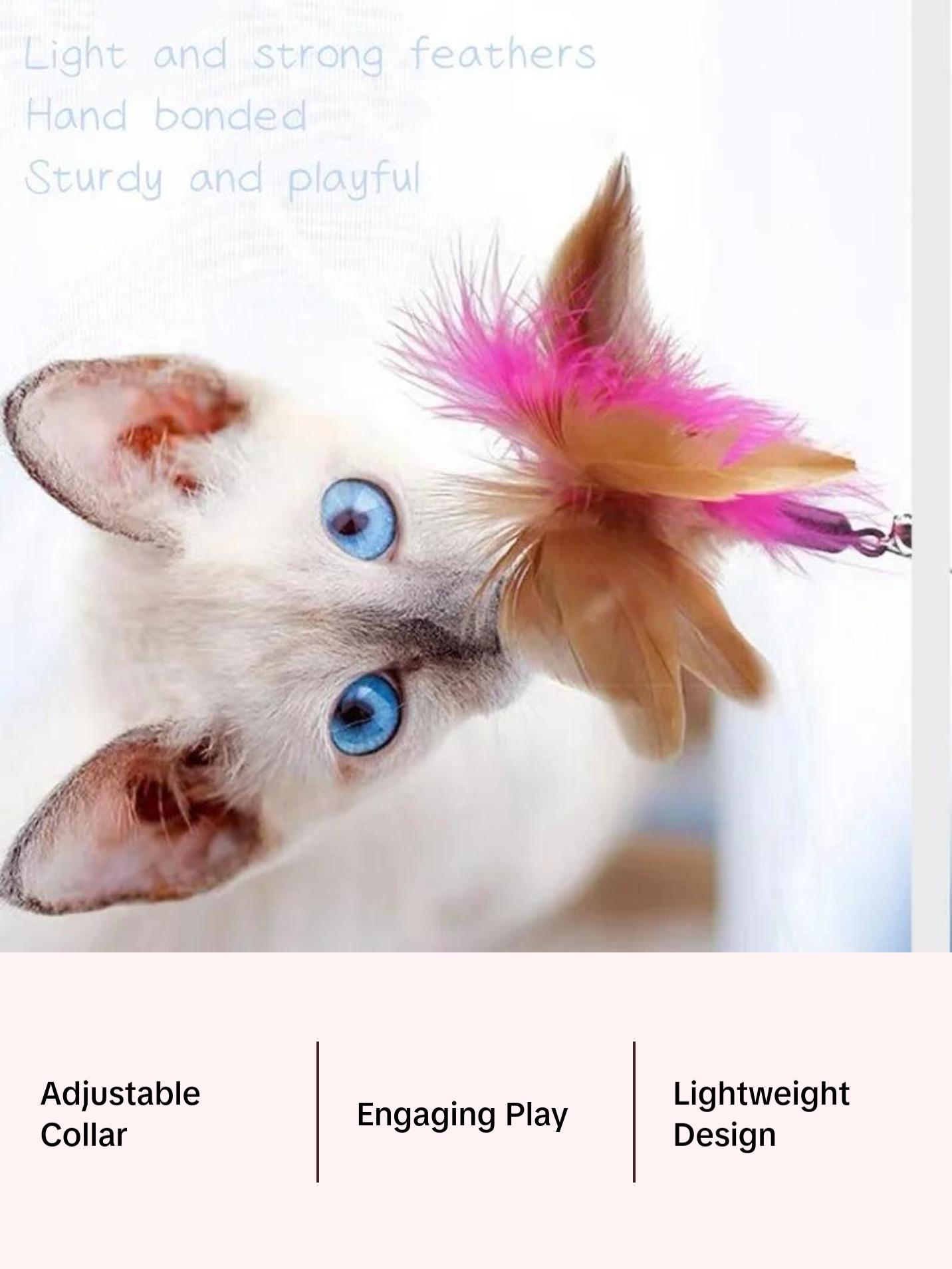 Feather Teaser Wand with Bell & Collar