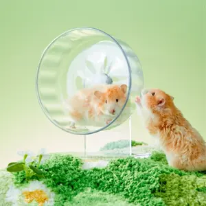 Silent Hamster Exercise Wheel, Full-Transparent Design with Anti-Slip Wave Track, Low Noise Under 30 Decibels, Ideal for Small Pets