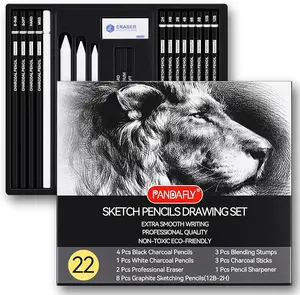 22-Piece Professional Sketch Pencil Set with Graphite, Charcoal, Blending Stumps & Erasers for Artists and Beginners