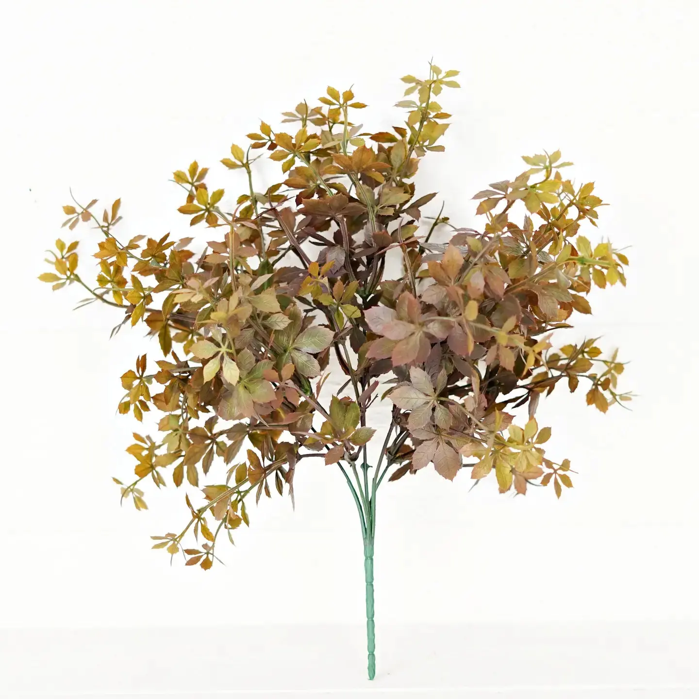 Sweetgum Leaves Bush
