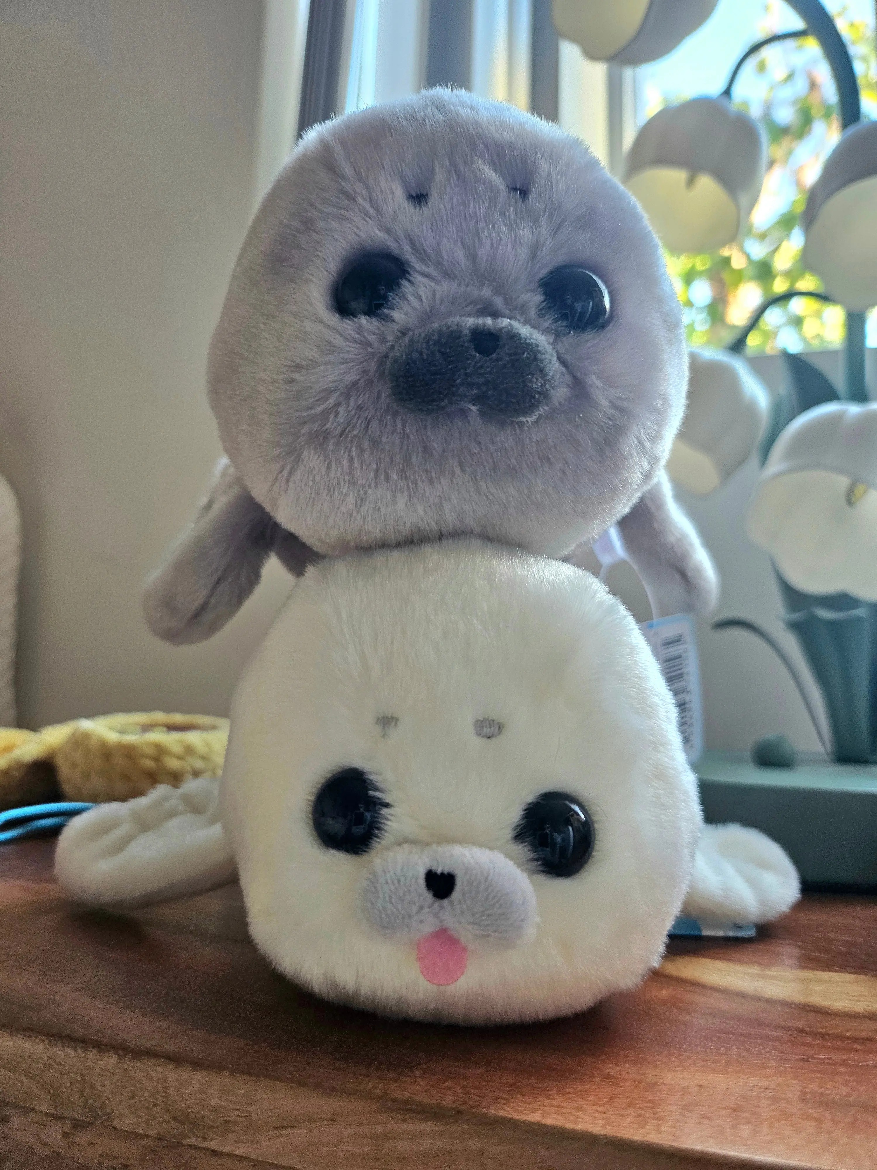 Medium Howa Howa Artic Seal - Adorable 24cm Plushies Medium Howa Howa Artic Seal - Adorable 24cm Plushies