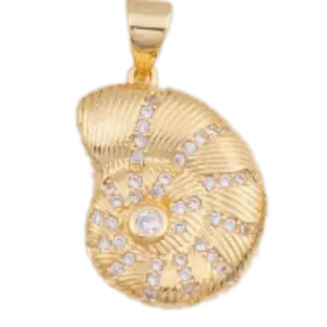 Seashell Charm