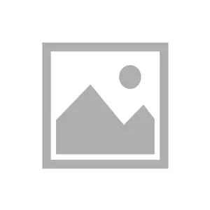 Tropical Fish Silver Italian Charm